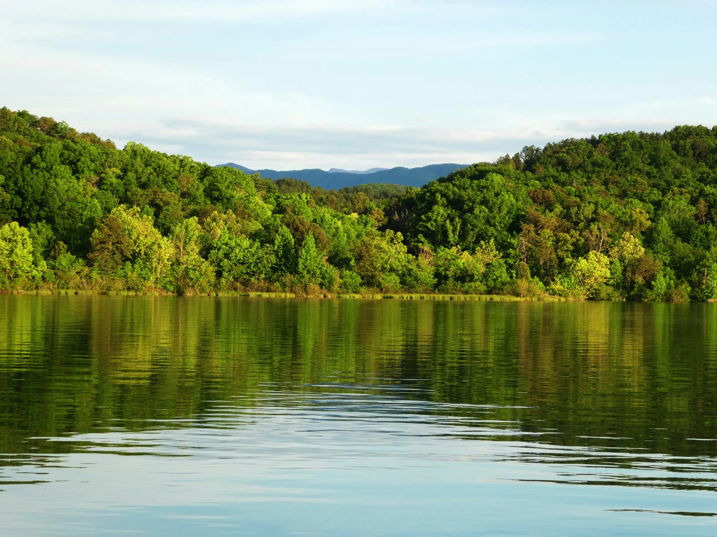 Manchester, TN Waterfront Homes for Sale