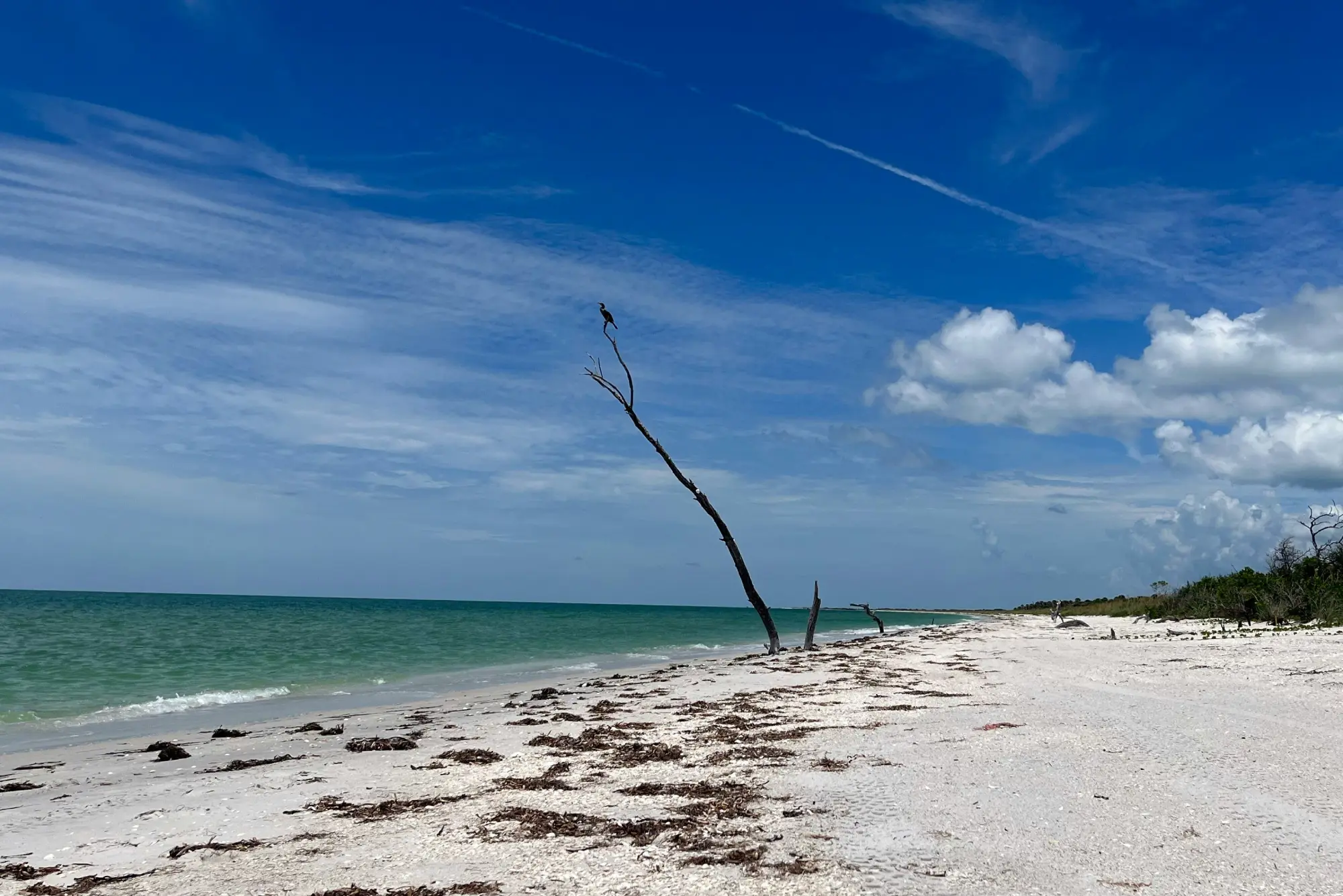 Bokeelia, FL Waterfront Real Estate