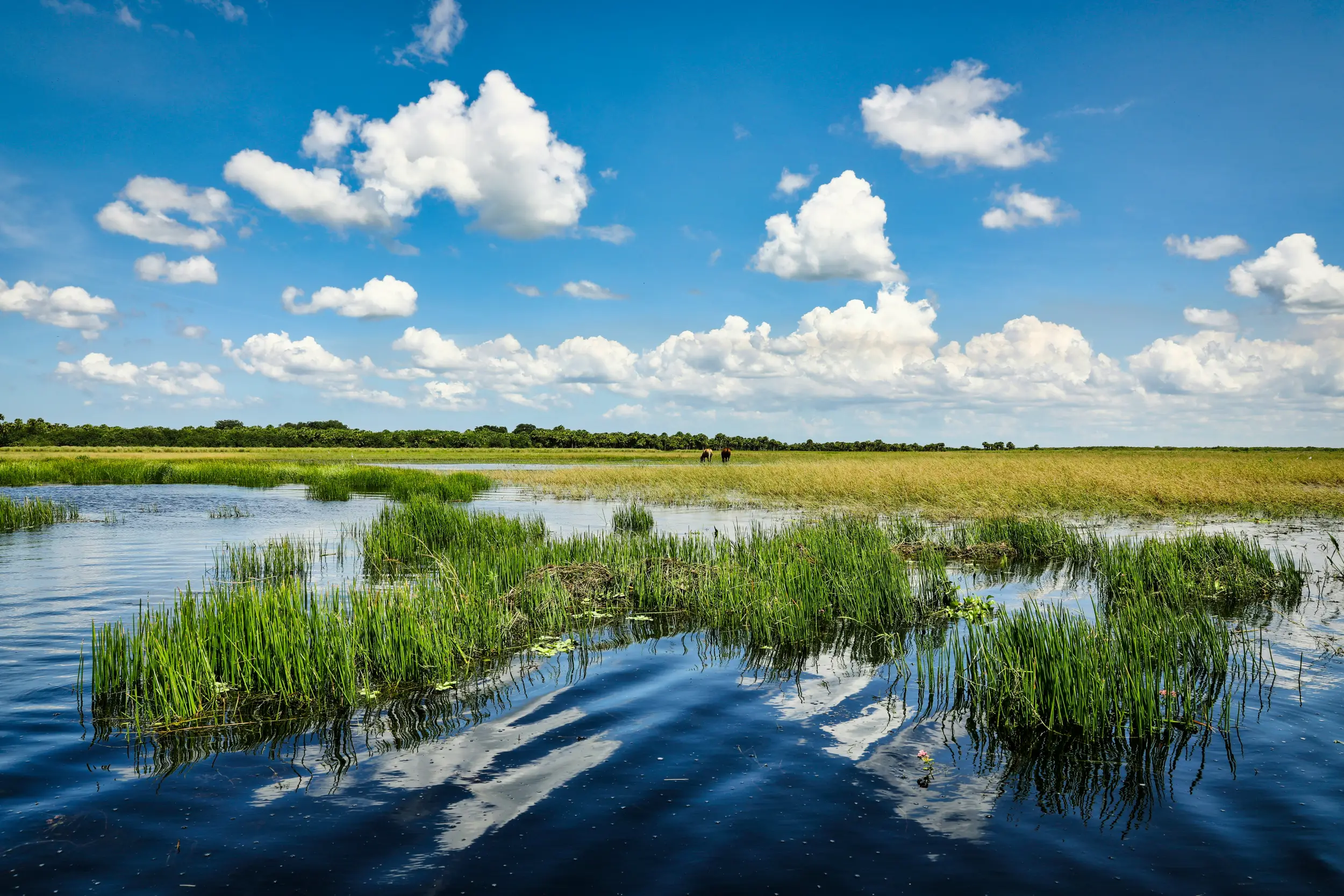 Clay County, FL Waterfront Real Estate