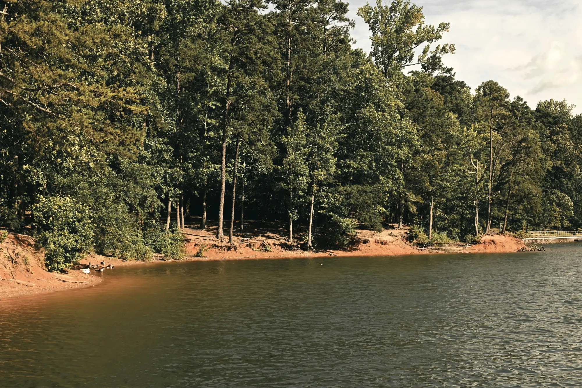Cumming, GA Waterfront Real Estate