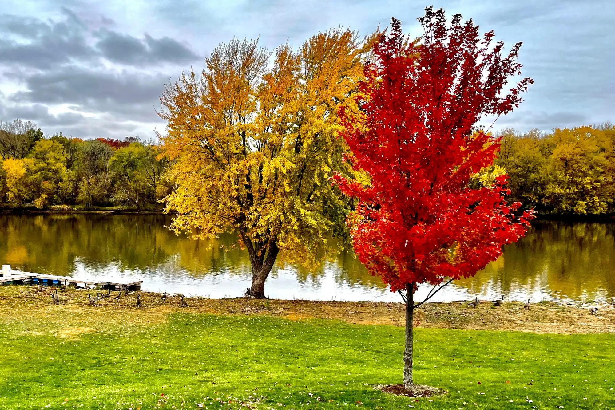 Green Oaks, IL Waterfront Real Estate