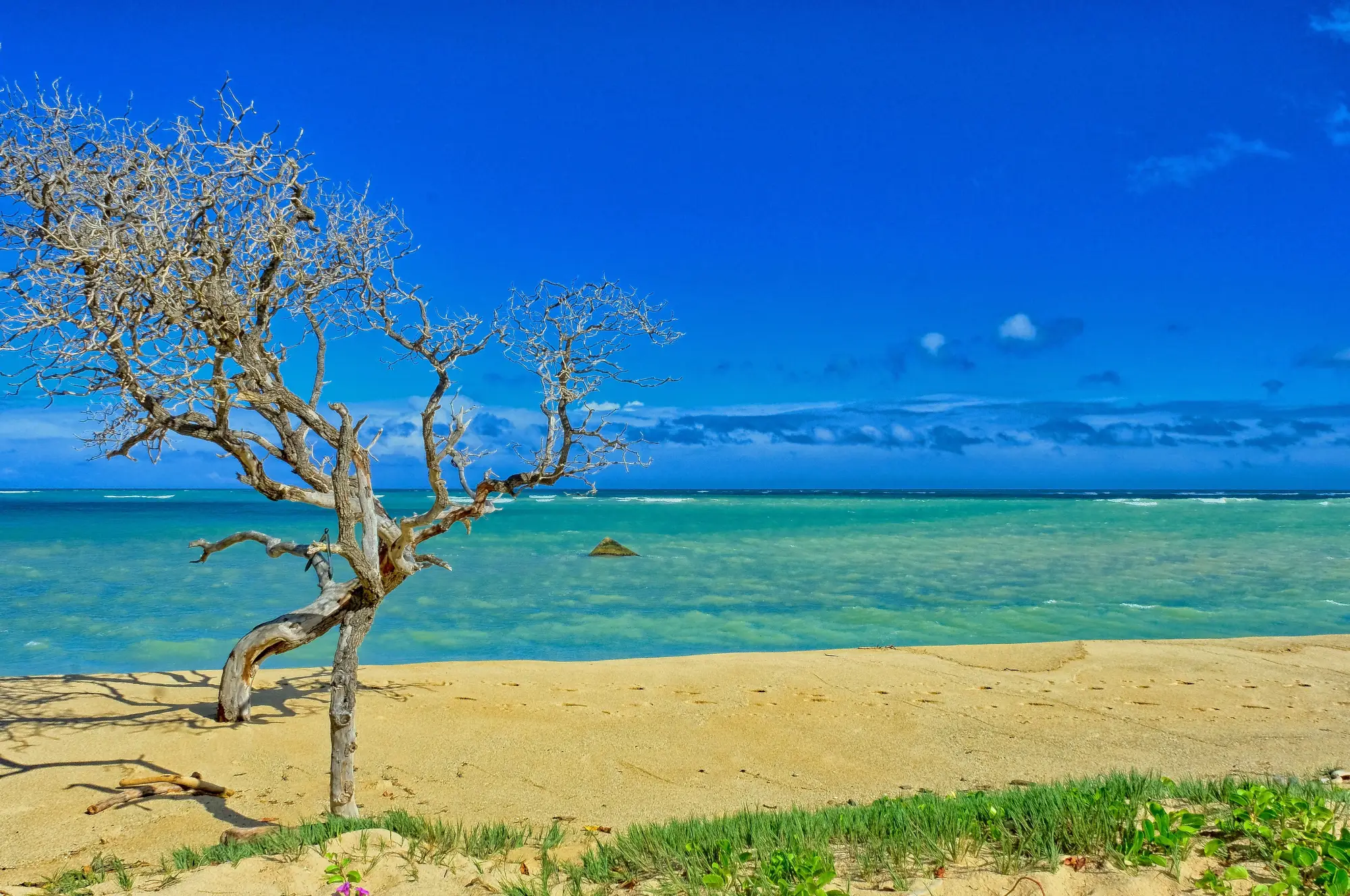 Kahului, HI Waterfront Real Estate