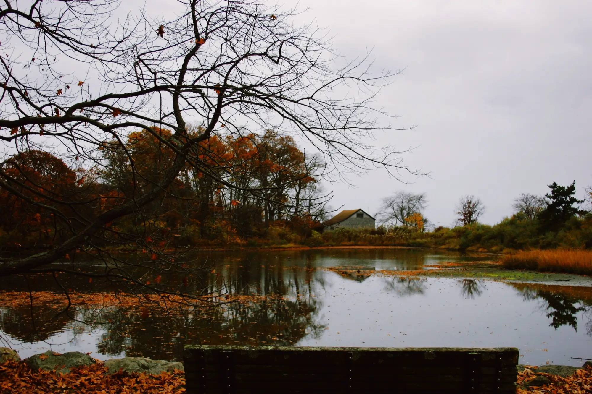 Old Greenwich, CT Waterfront Real Estate
