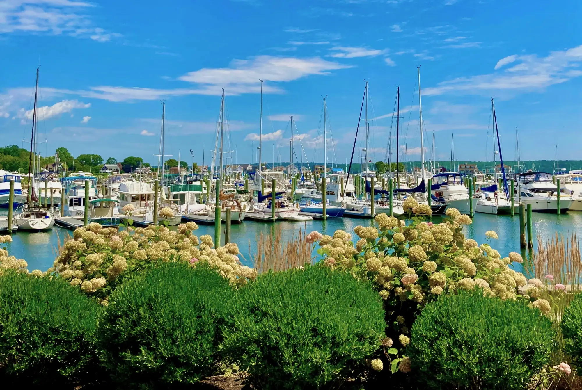 Old Mystic, CT Waterfront Real Estate