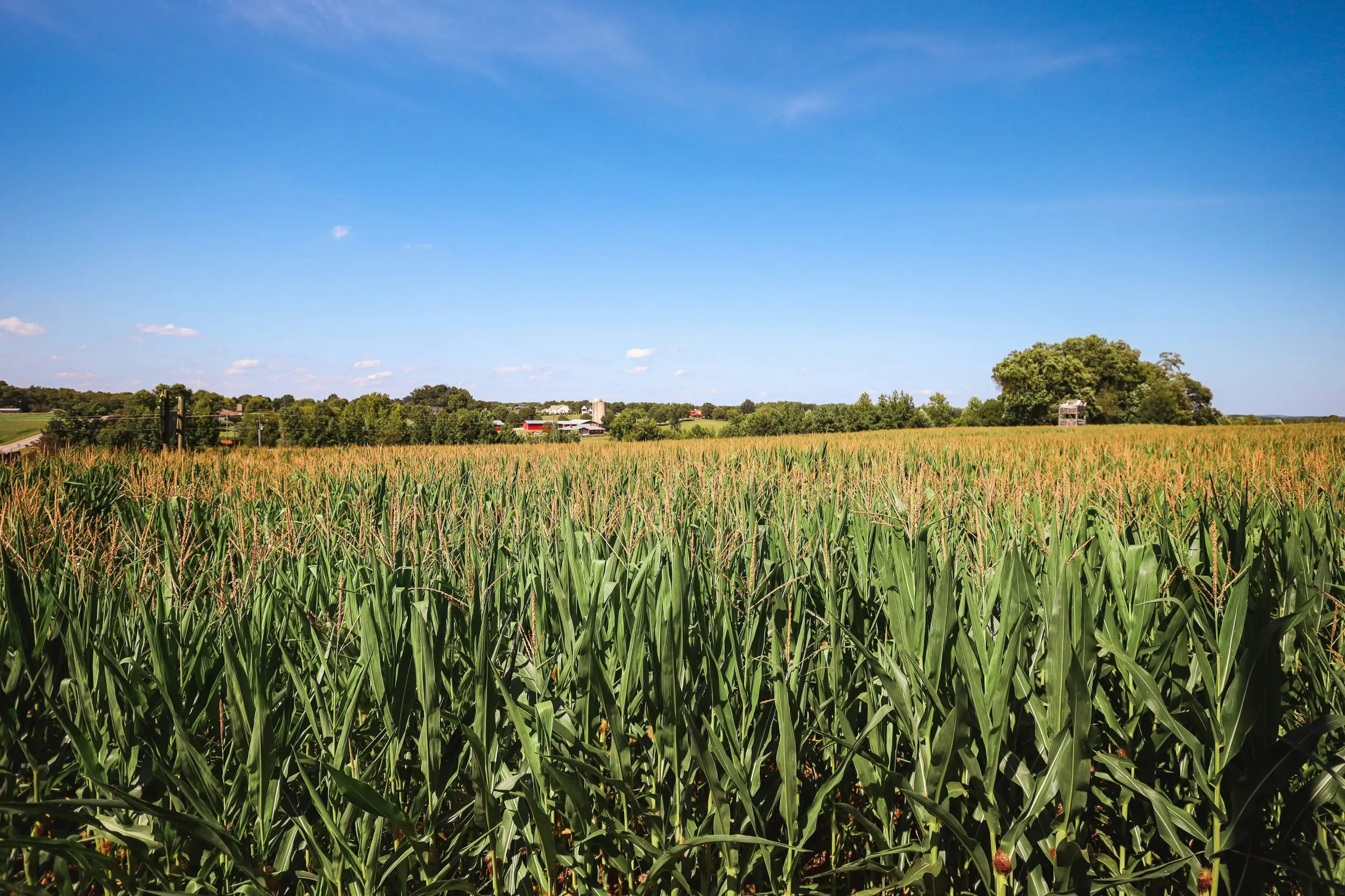 Preston, MD Waterfront Homes for Sale