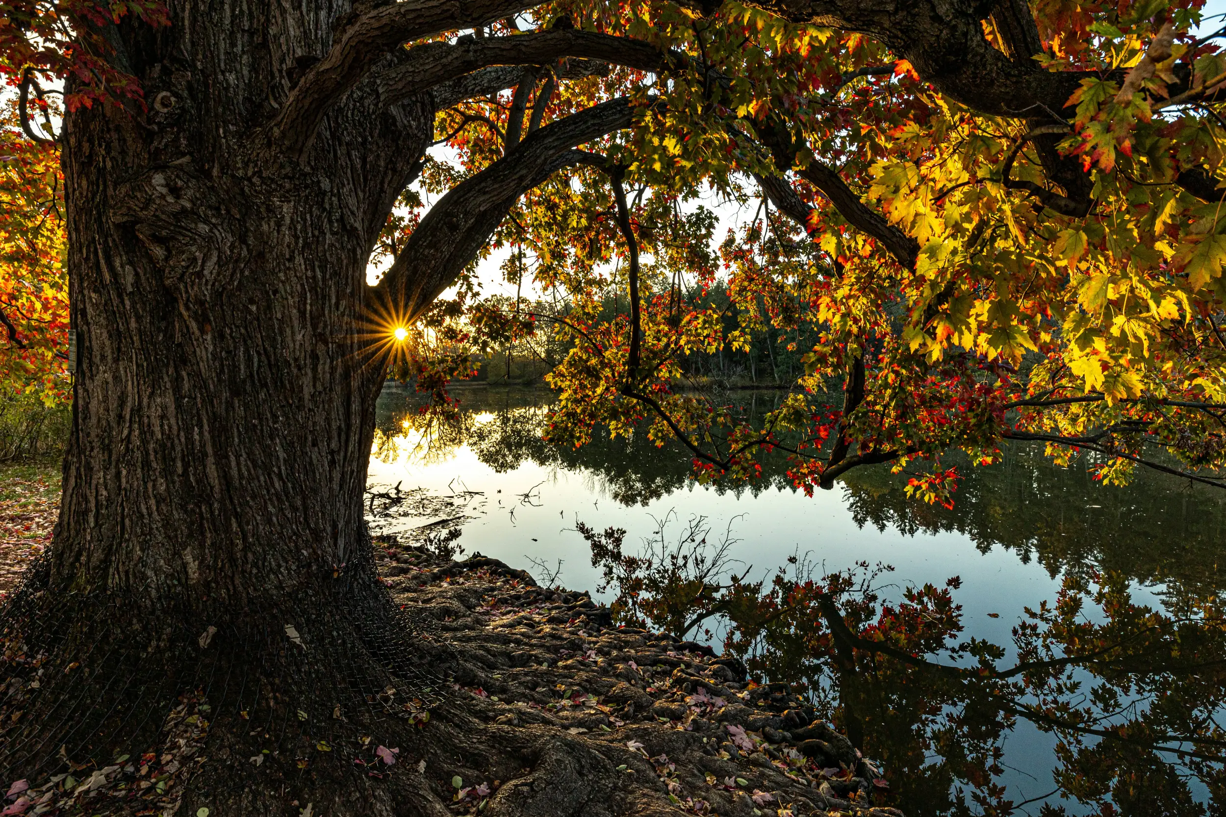 Oak Brook, IL Waterfront Homes for Sale