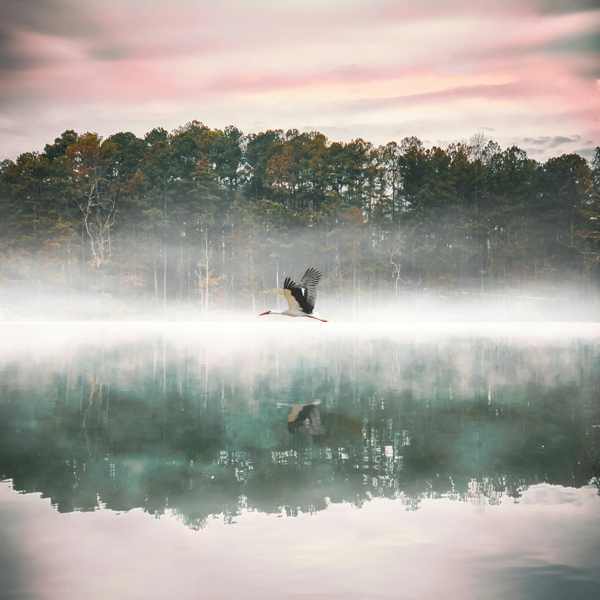 Gainesville, GA  Waterfront Homes for Sale