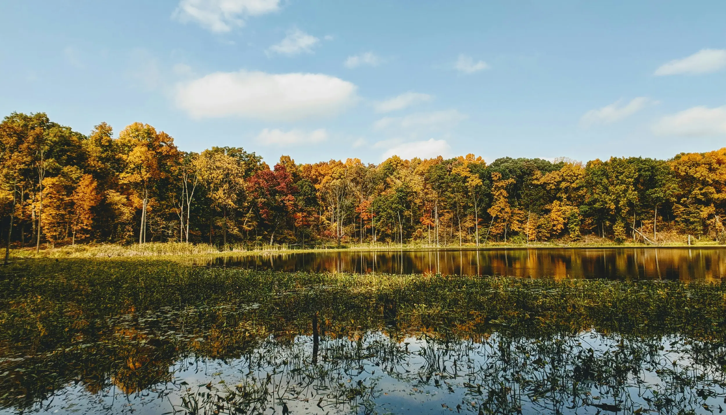 Hendricks County, IN Waterfront Homes for Sale