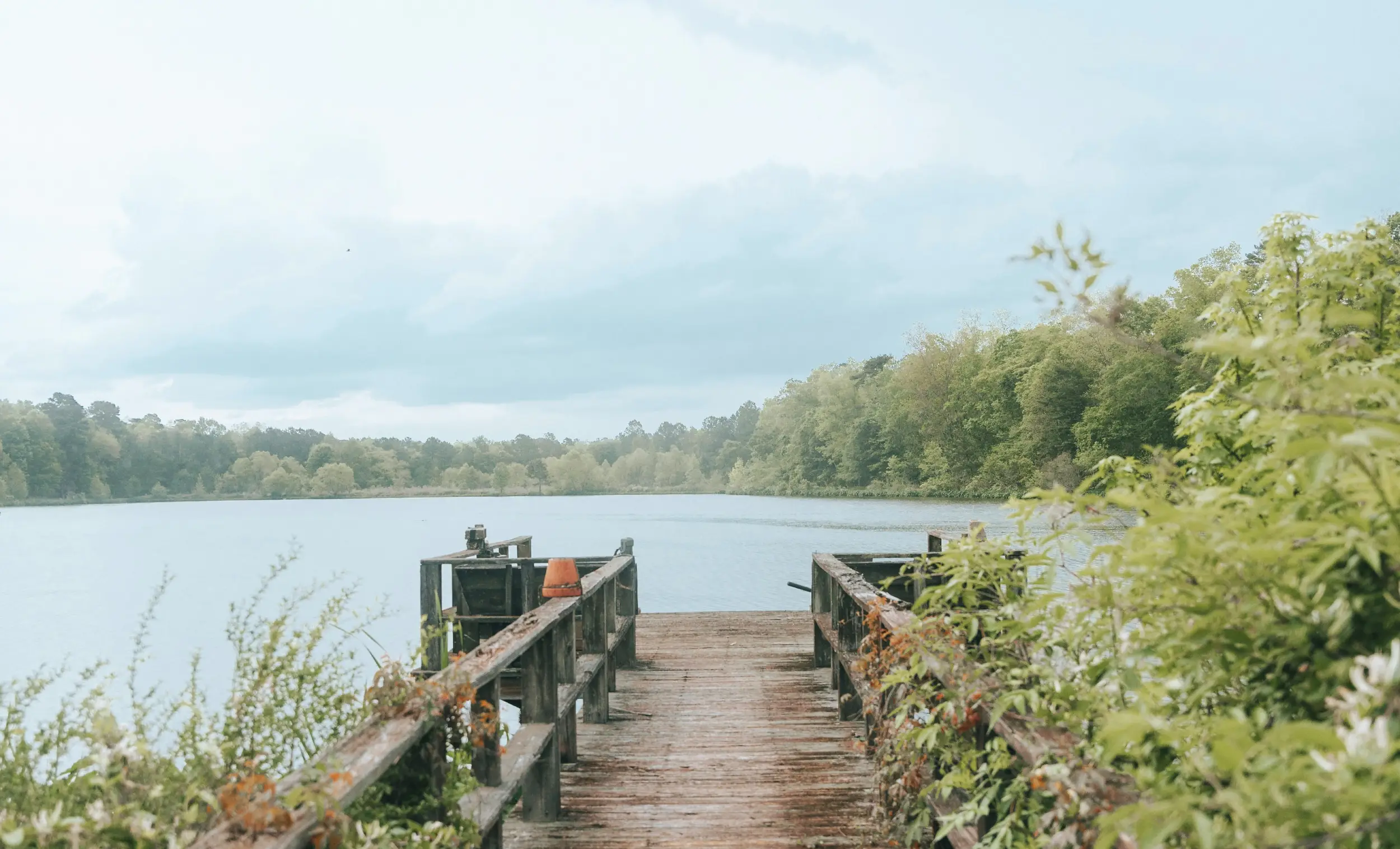 Buchanan, GA  Waterfront Homes for Sale