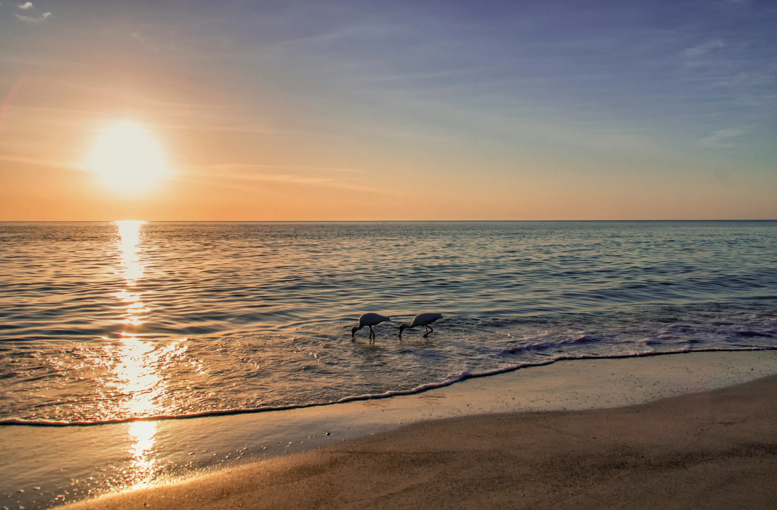 Nokomis, FL Waterfront Homes for Sale